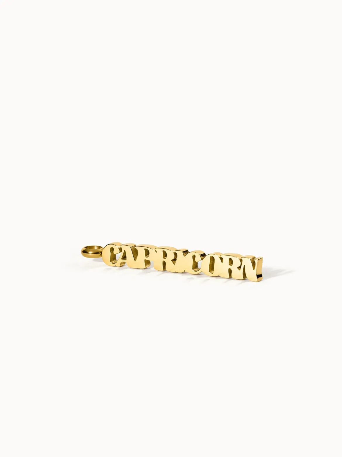Capricorn Letter Charm