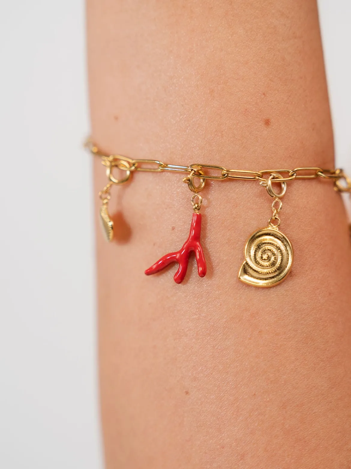 Flex Korallen Charm
