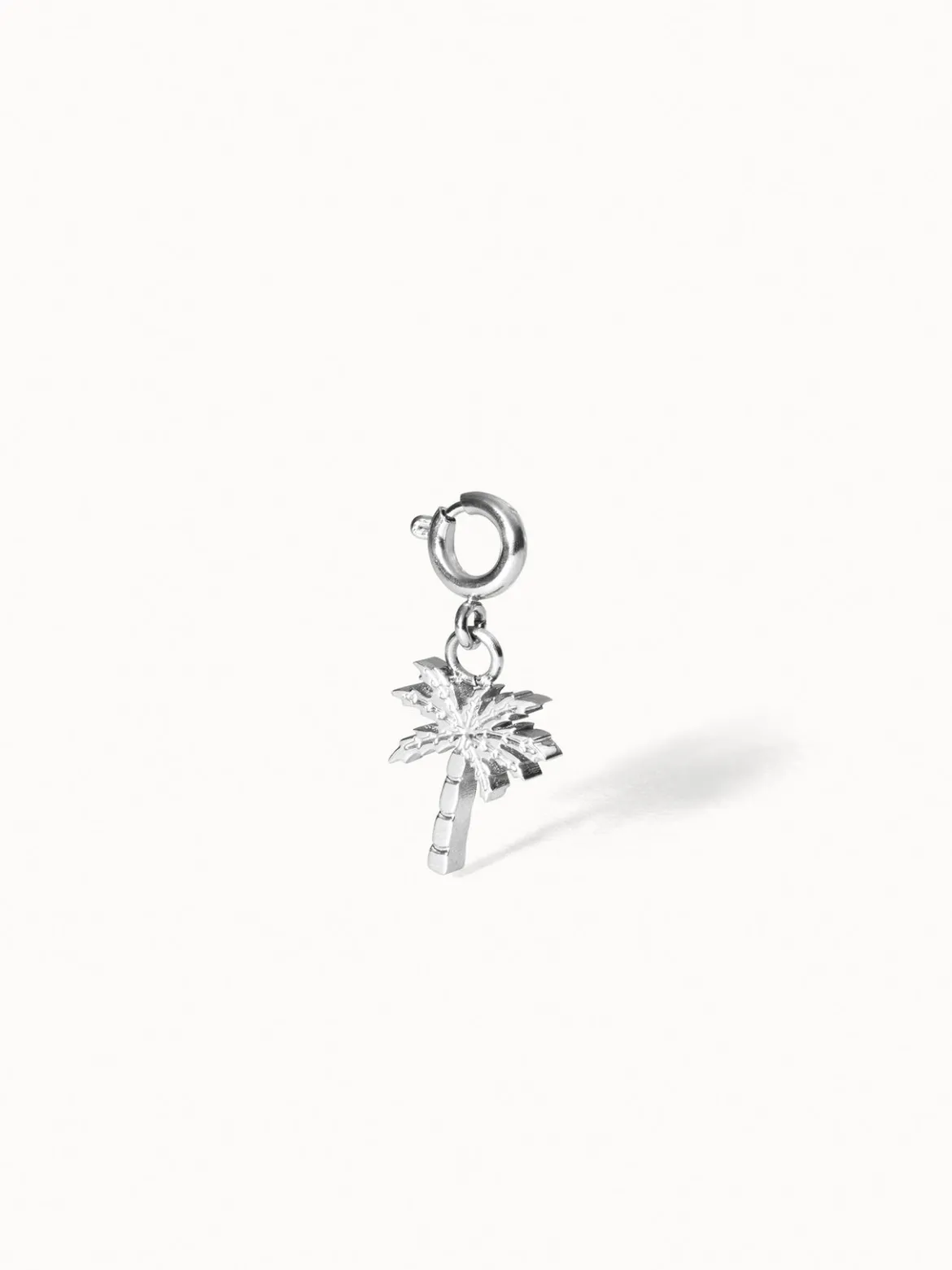 Flex Palmen Charm