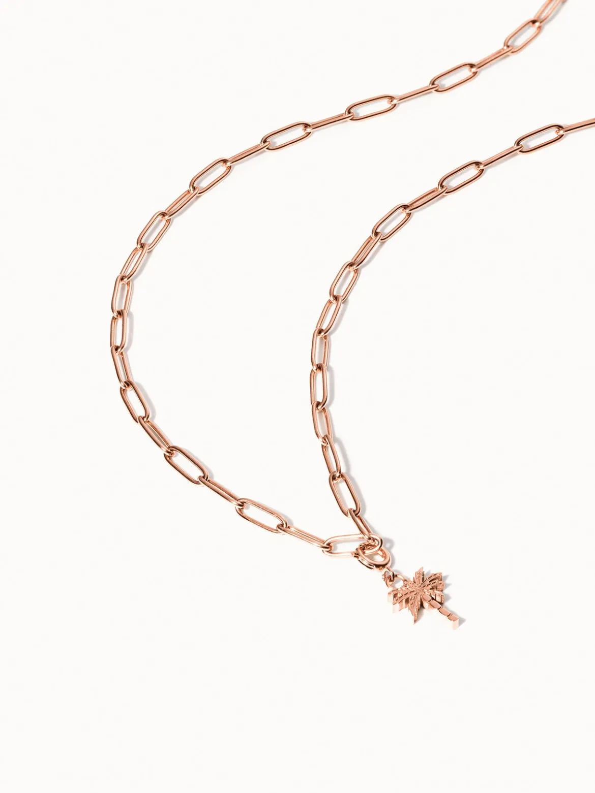 Flex Palmen Charm