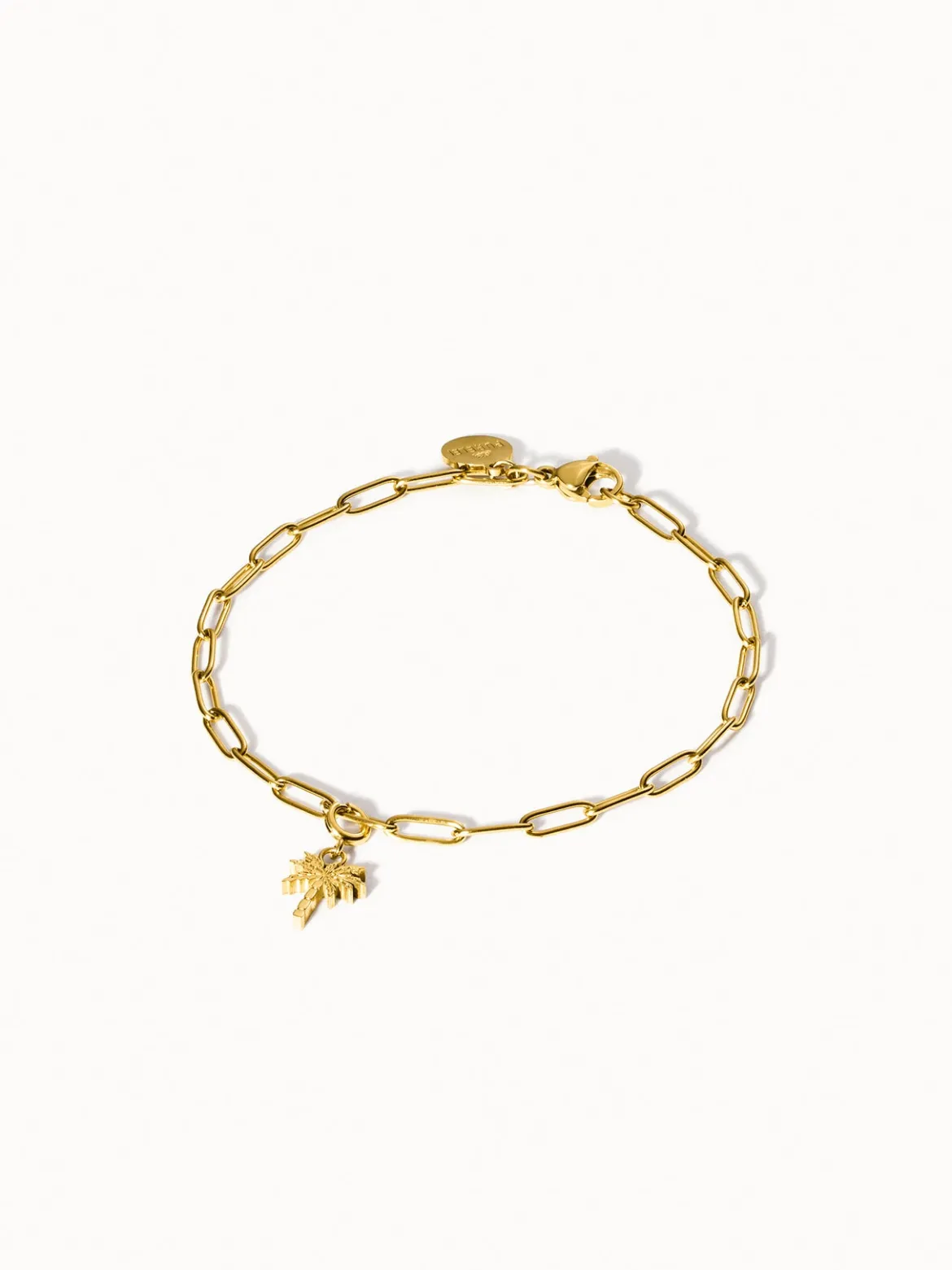 Flex Palmen Charm