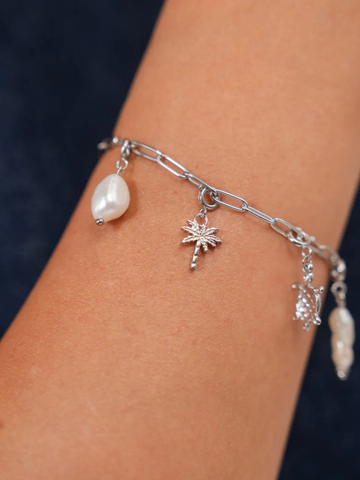 Flex Palmen Charm