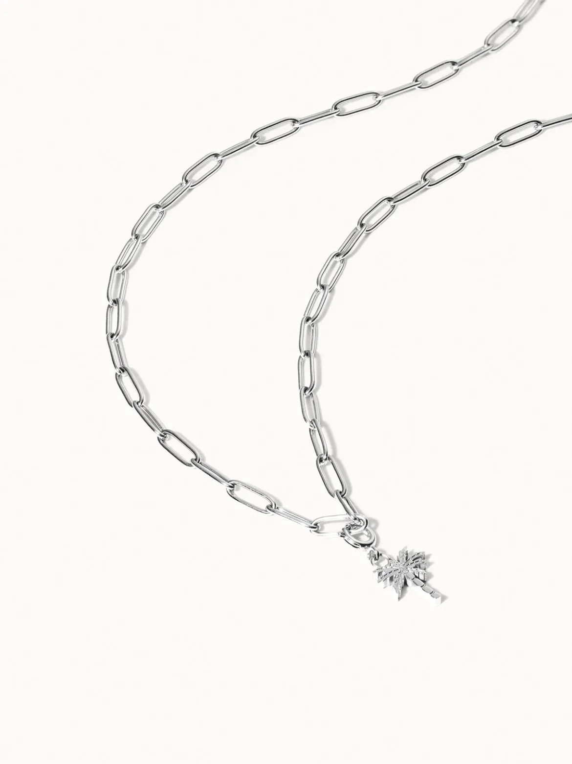Flex Palmen Charm