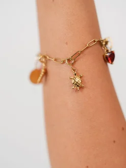 Flex Schildkröten Charm