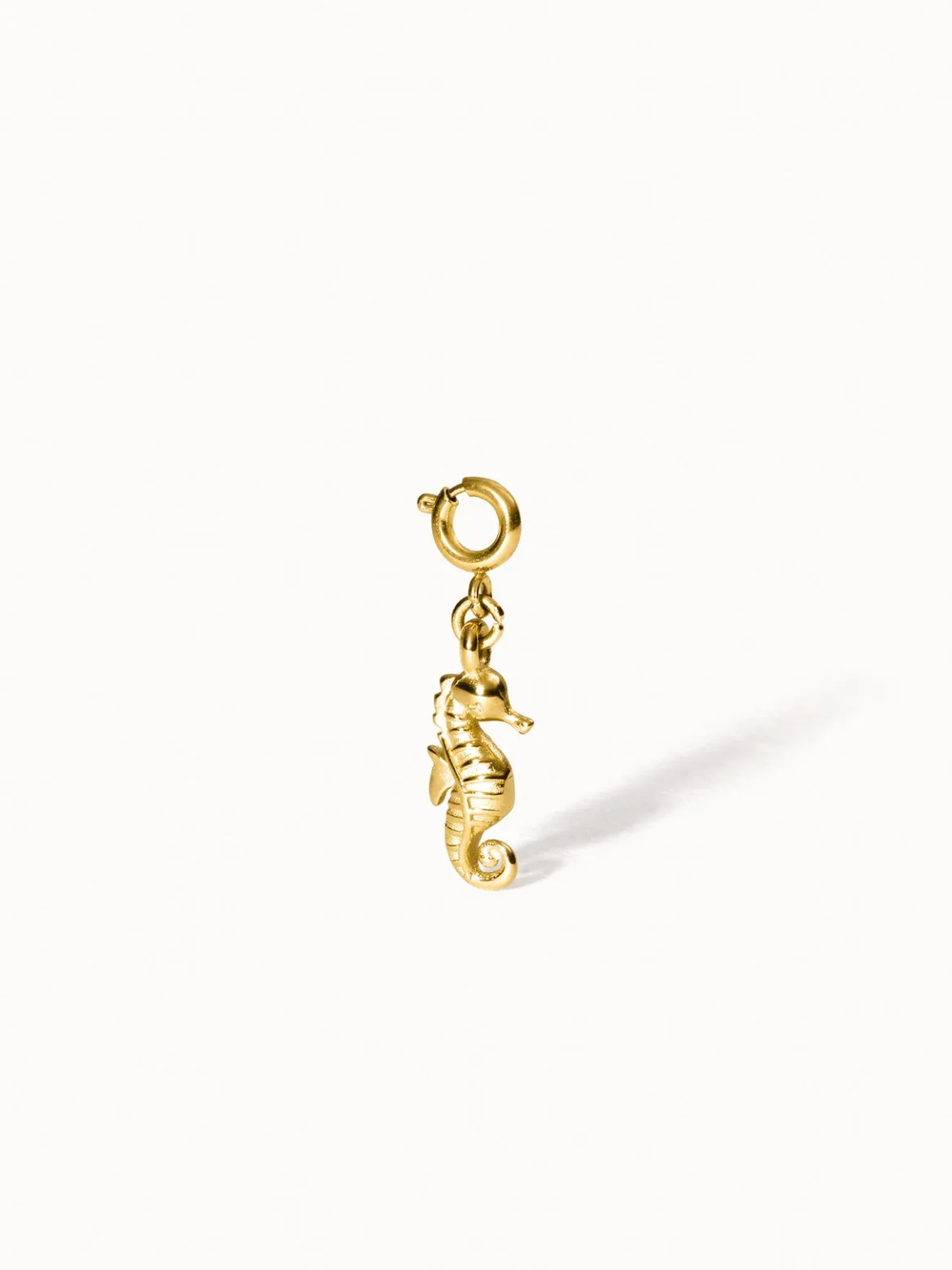 Flex Seepferdchen Charm