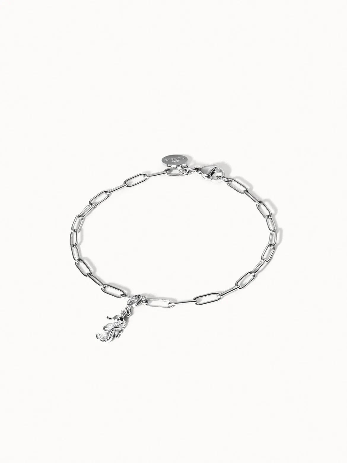 Flex Seepferdchen Charm