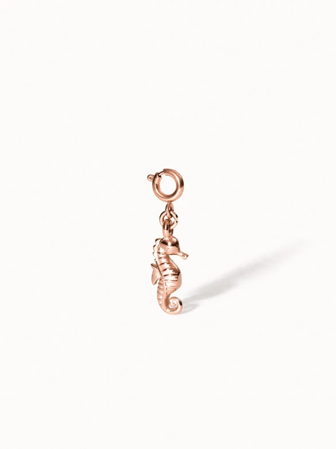 Flex Seepferdchen Charm