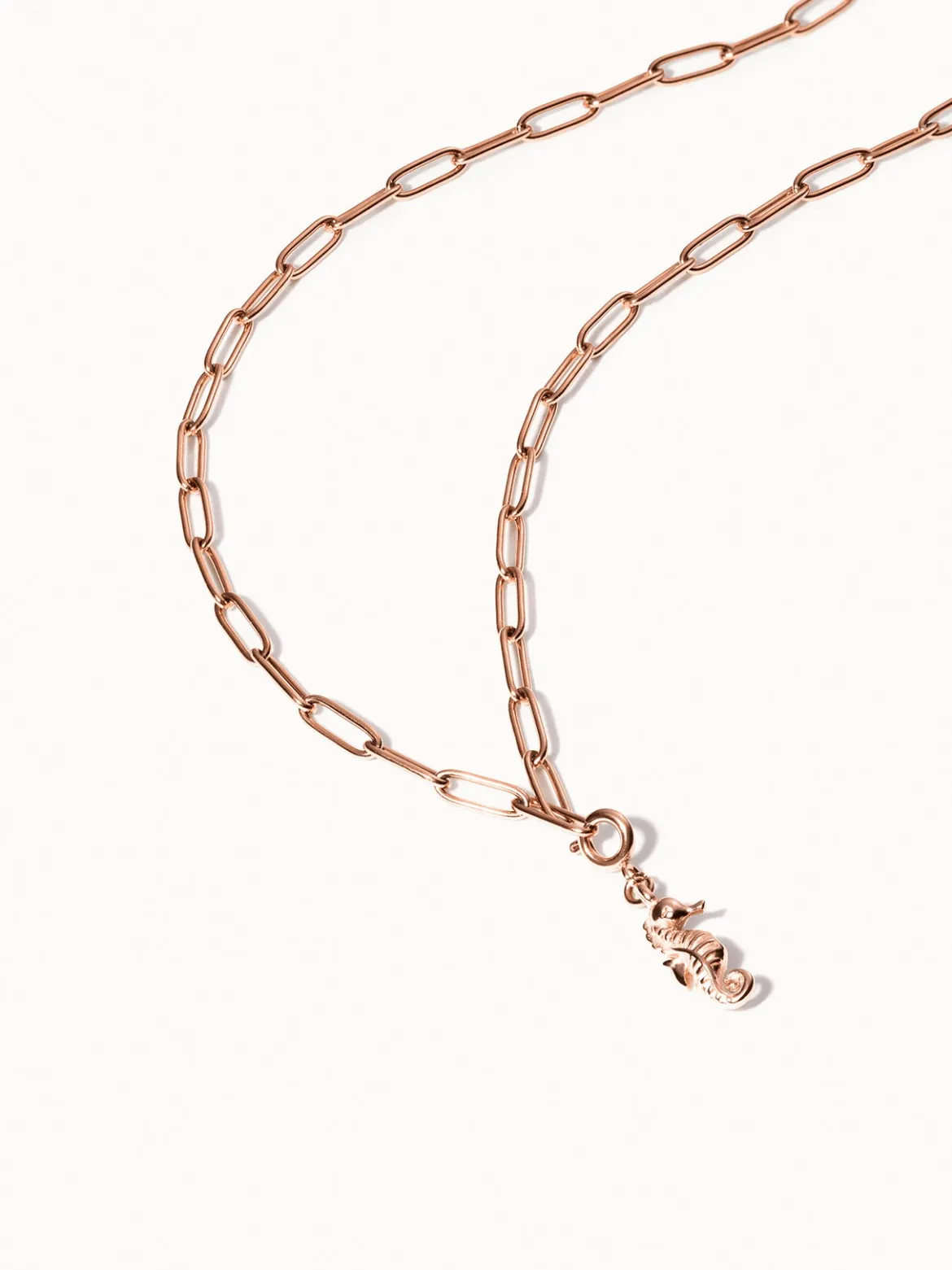 Flex Seepferdchen Charm