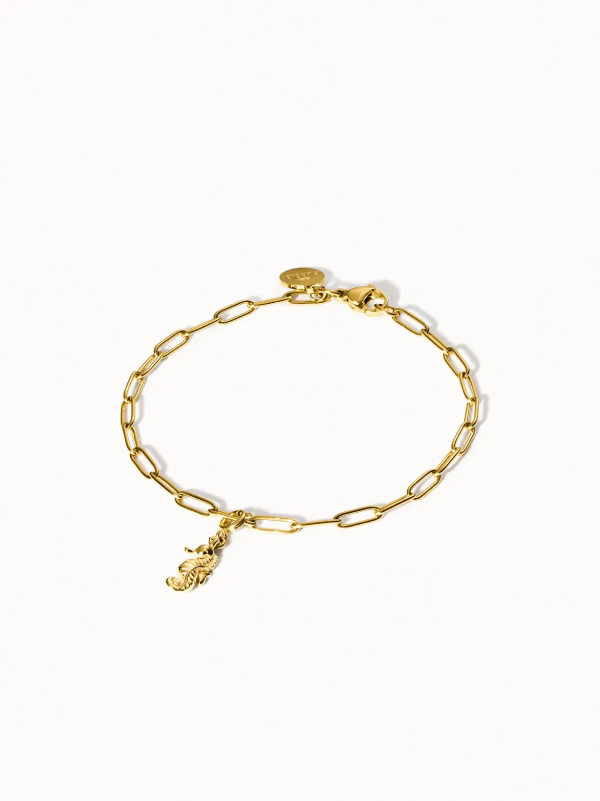 Flex Seepferdchen Charm