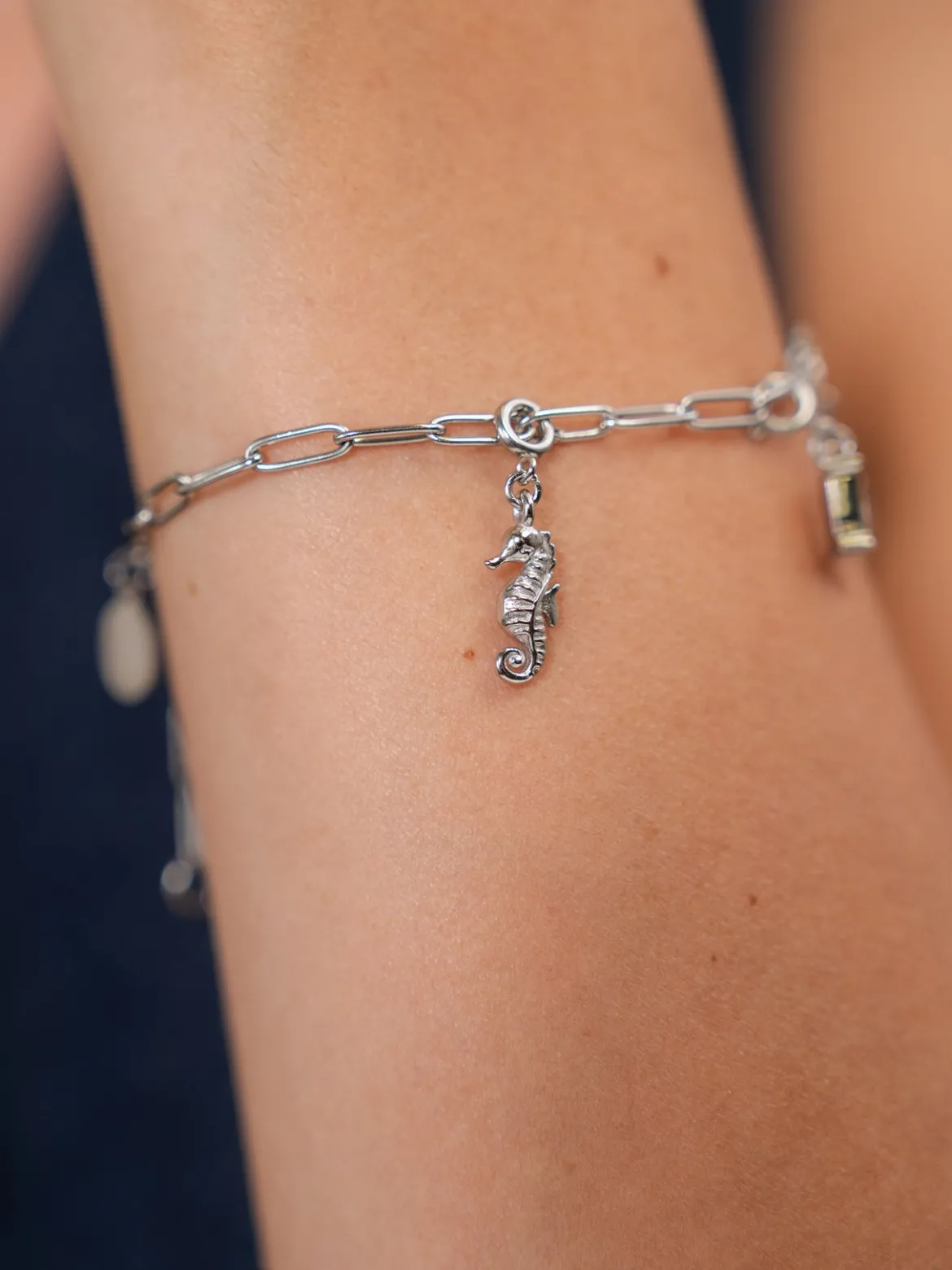 Flex Seepferdchen Charm