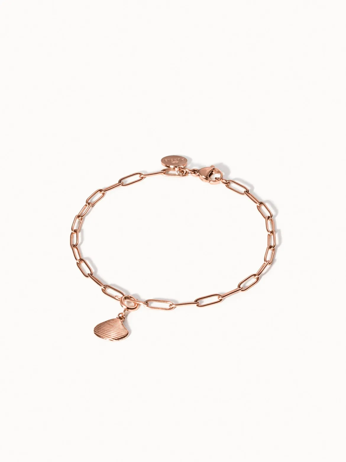 Flex Venusmuschel Charm