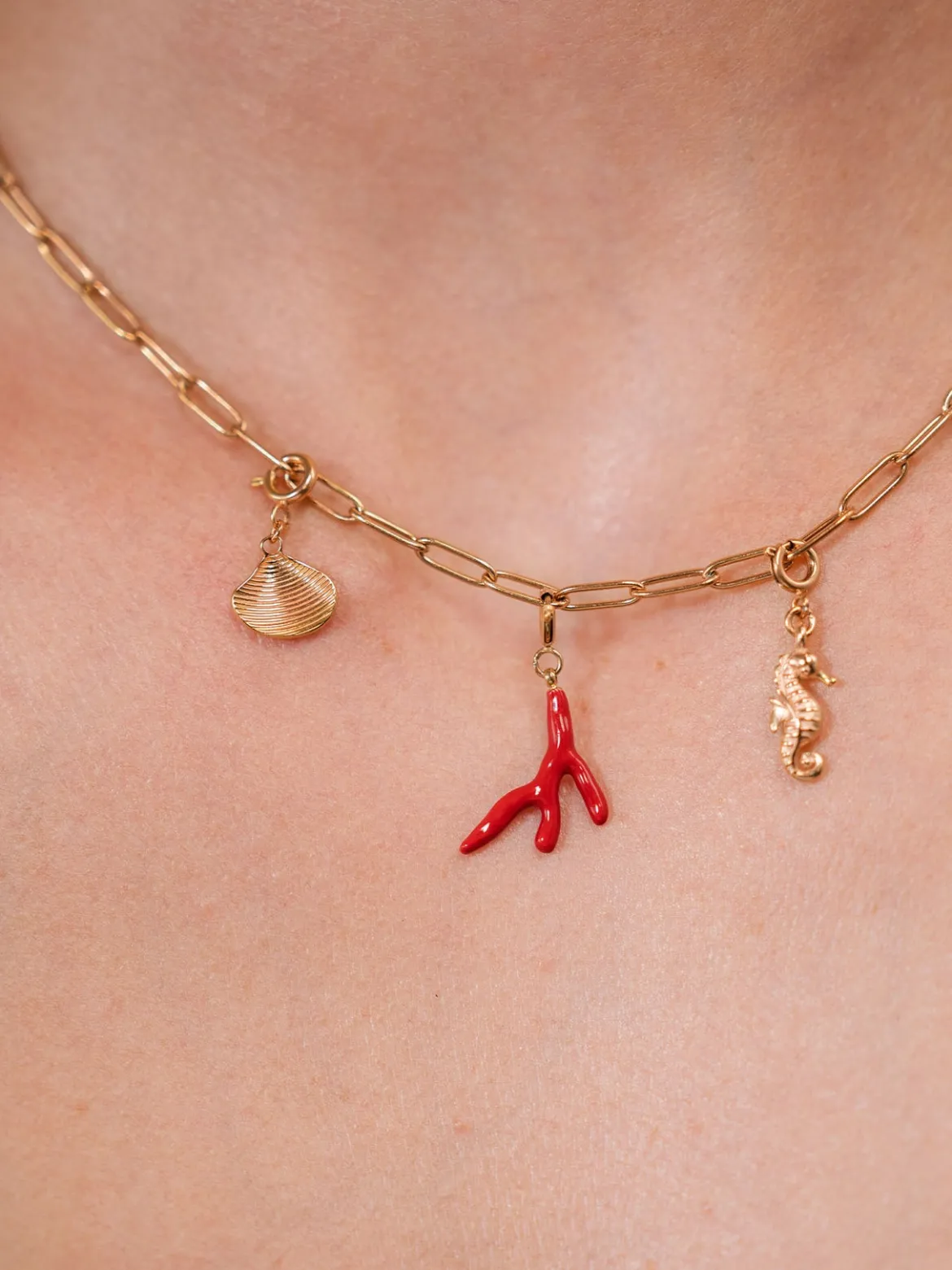 Flex Venusmuschel Charm