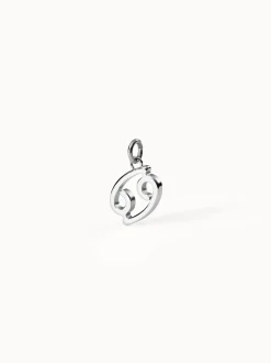Krebs Zodiac Charm
