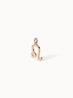Löwe Zodiac Charm