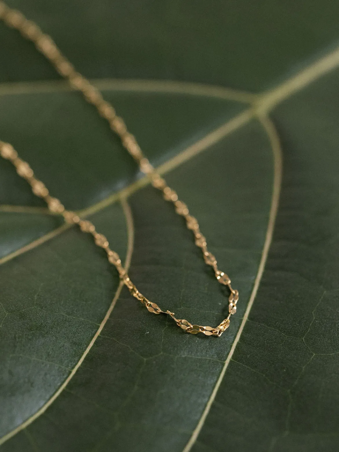 Petal Kette