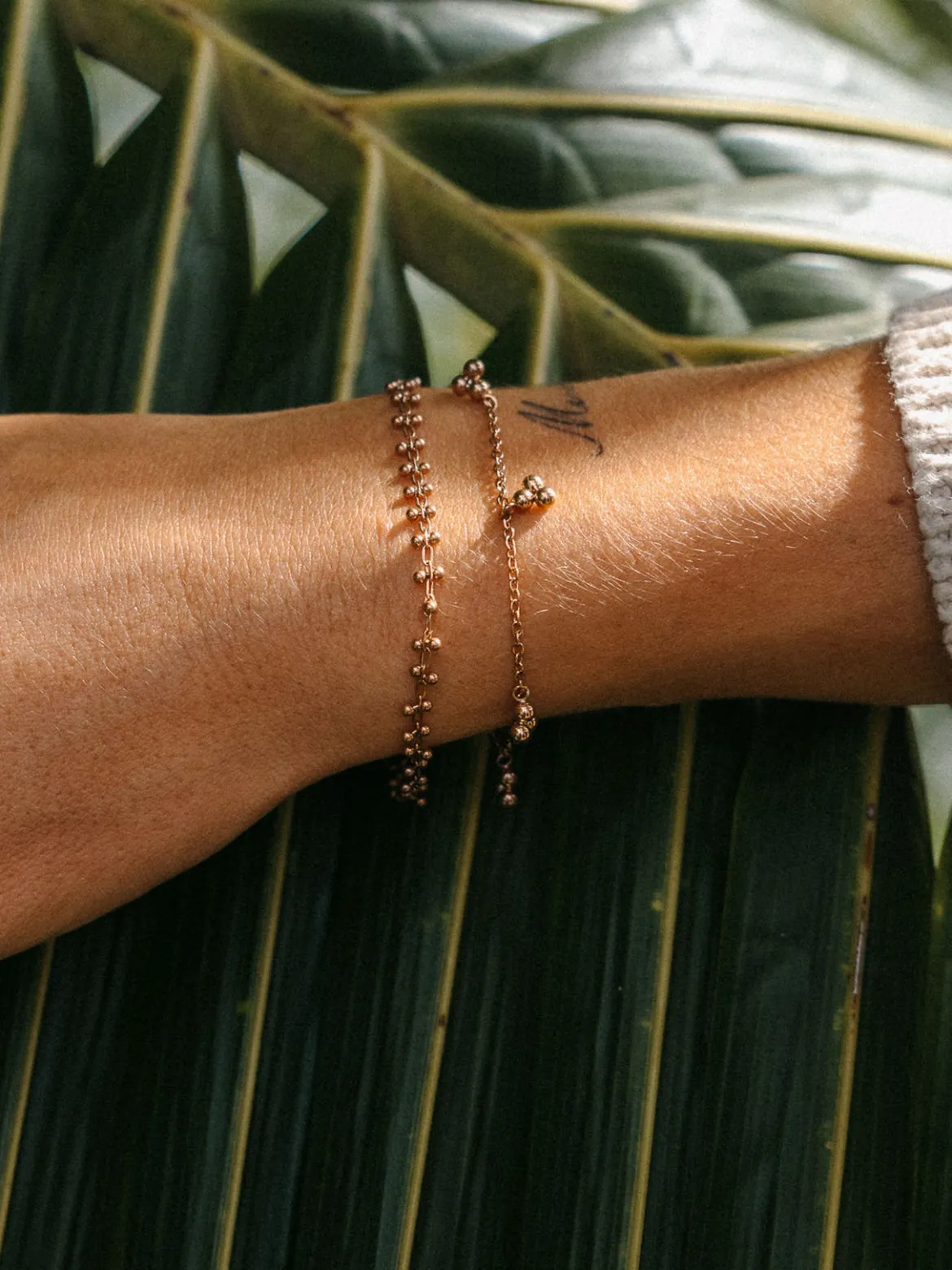 Seed Armband