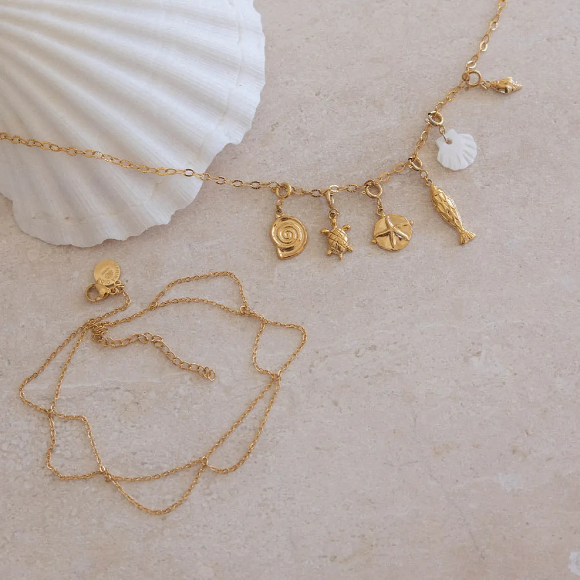 Shore Kette