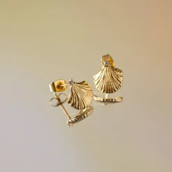 Small Shell Ohrringe