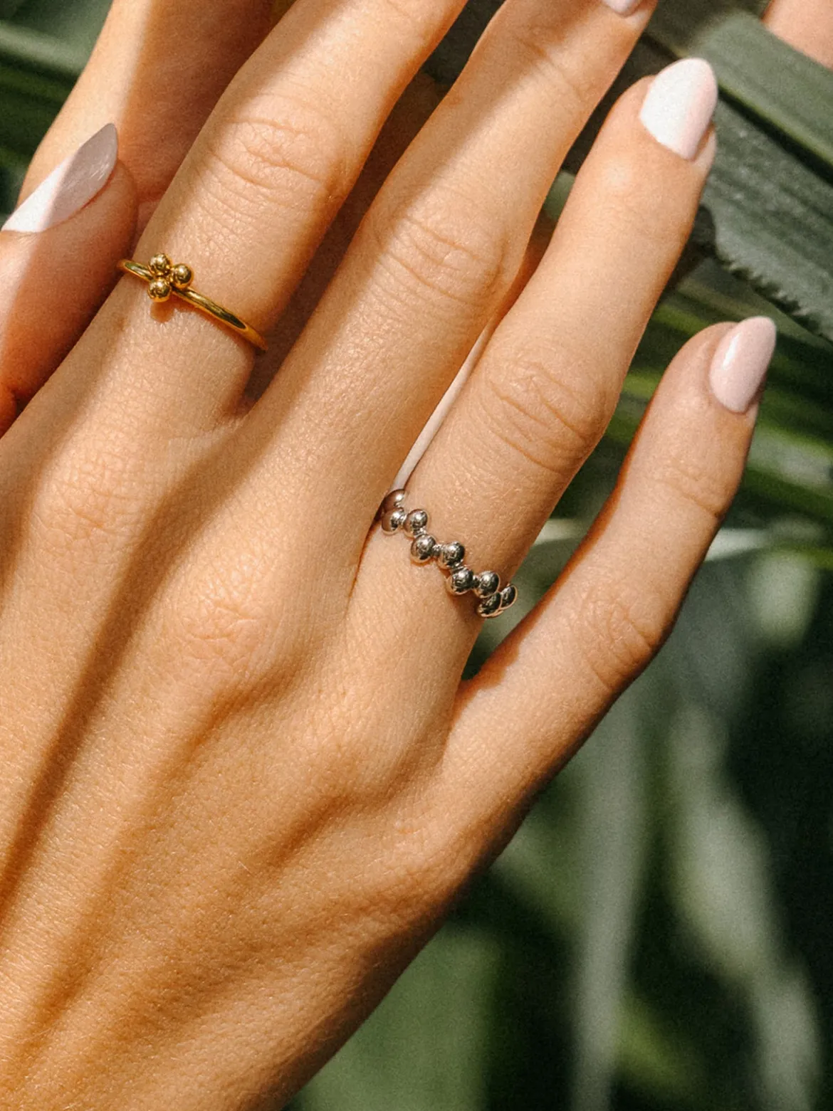 Terra Ring