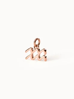 Wassermann Zodiac Charm