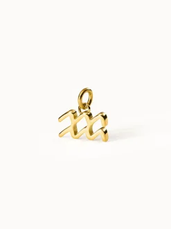 Wassermann Zodiac Charm