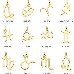 Wassermann Zodiac Charm